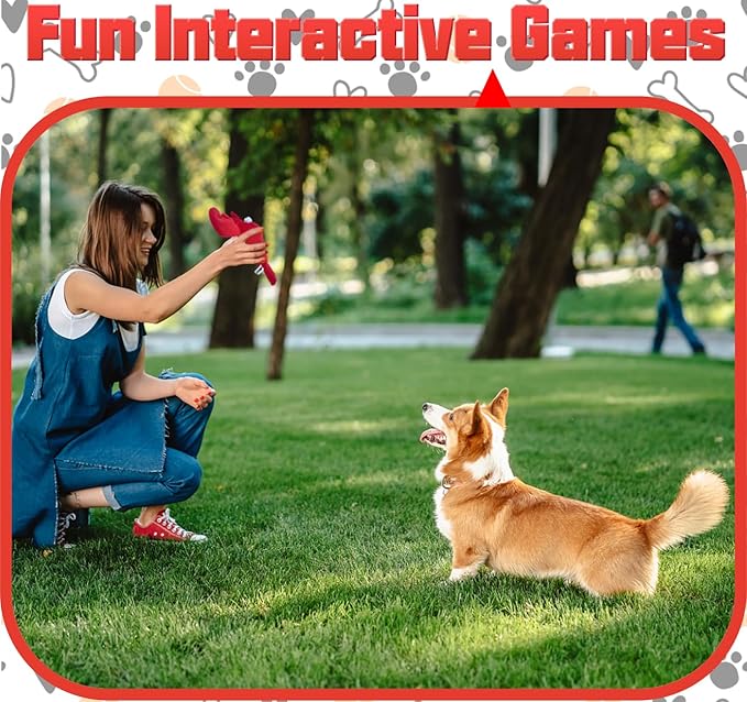 JKW Squeaky Dog Toy for Small & Medium Dogs, Puppy Plush Toys (S, Lobster)