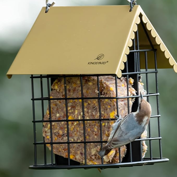 Kingsyard Double Suet Bird Feeder with Weatherproof Roof & Perch, All Metal, Suet Cakes Cage Bird Feeder for Outdoors Hanging, Easy to Clean & Refill, Brown