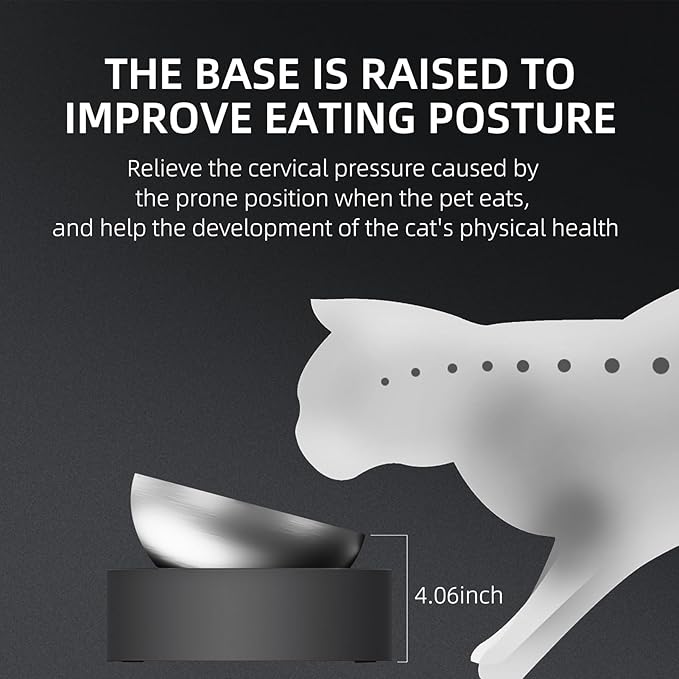 Double Dog Bowl with Stand, Elevated Dog Bowls for Small Medium Dogs & Cats, 2-in-1 Adjustable 0°&15° Tilted Stainless Steel Food Water Bowl Set, Non-Slip No-Spill Feeder for Improved Digestion