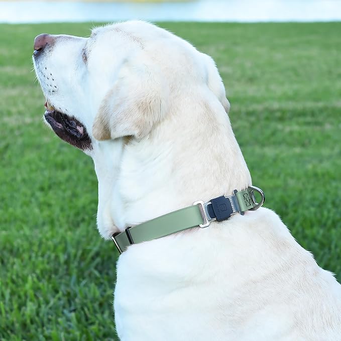 Dogline Biothane Waterproof Dog Collar with Herm Sprenger Stainless Steel Quick Release Buckle – Heavy Duty Tactical Durable Collar for Dogs – Comfortable and Safe Pet Collar W 3/4" L12-19 Sage Green