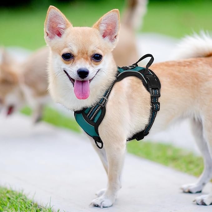 rabbitgoo Dog Harness No Pull with 2 Leash Clips, Adjustable Soft Padded, Reflective Oxford No Choke Pet Vest with Easy Control Handle for Puppy, Blue Coral, XS