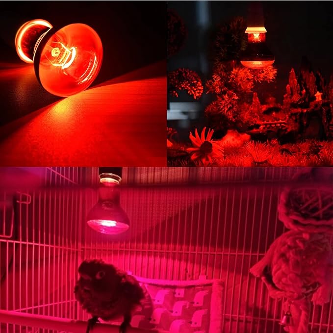 Aiicioo Reptile Red Night Light Bulb - 150W Reptile Heat Lamp Bulb Infrared Basking Spot Lamp for Bearded Dragon Lizard Turtle Hermit Crab Leopard Gecko Snake Chameleon Tank