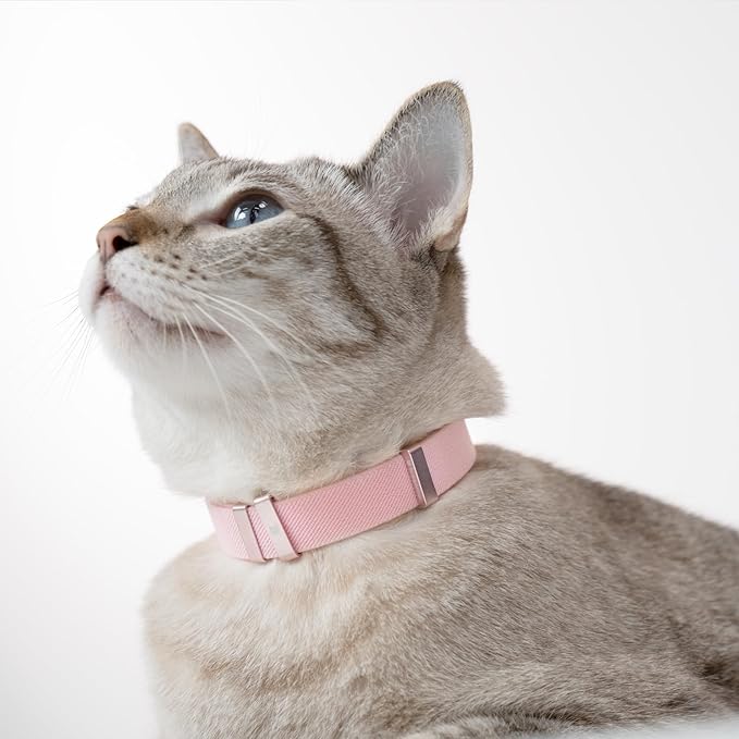 Safety Cat Collar - U.S. IDA Gold Awarding Design, Stretch Elastic Quick Release, Non Breakaway - Light Weight for Kitten, Neck Fit 5.9'-11.8' for All Small Large Cat,S(Glacier Silver)