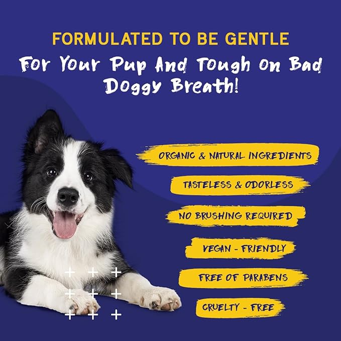 PupGrade Dental Care Water Additive Solution - Advanced Oral Care for Dogs - Dental Rinse for Fresh Breath to Fight Against Bad Breath, Plaque, and Tartar
