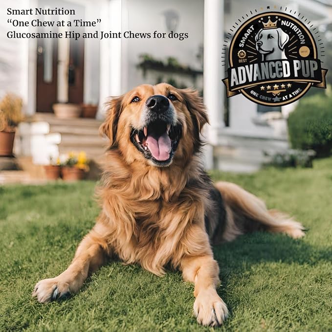 AdvancedPUP Hip and Joint Supplement - Effective Chondroitin MSM & Turmeric for Dogs - Dog Hip & Joint Care to Heal Dog Joint Stiffness & inflammation - Natural Glucosamine Supplement Tasty Bacon 90CT