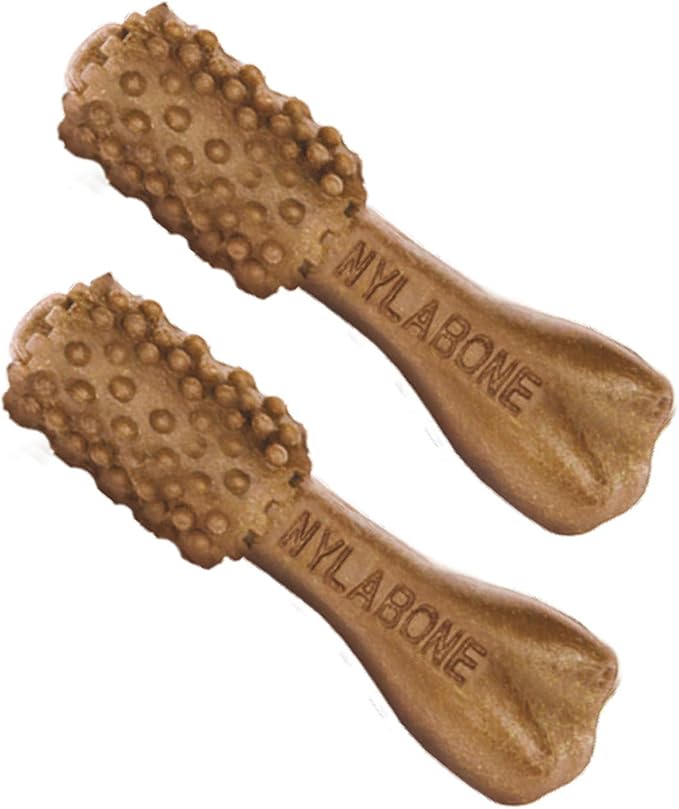 Nylabone Nutri Dent Dog Dental Chews - Natural Dog Teeth Cleaning & Breath Freshener - Dental Treats for Dogs - Filet Mignon Flavor, Mini (32 Count) (Pack of 2)