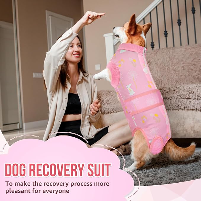 Lukovee Recovery Suit for Dogs, Zipper On Recovery Suit for Female Male Dog, Onesie Abdominal Wounds Cone E-Collar Alternative Prevent Licking Spay Recovery Suit (S,PI)