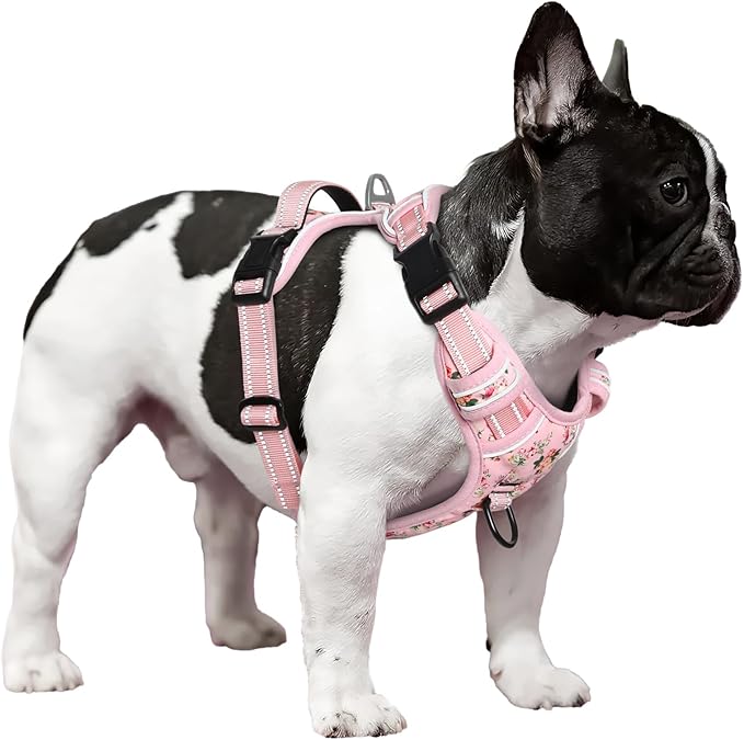 Timos Dog Harness, No-Pull Pet Harness with 2 Leash Clips, Adjustable Soft Padded Dog Vest, Reflective Outdoor Pet Oxford Vest with Easy Control Handle Pink XS