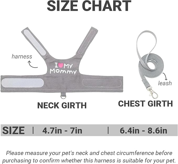 Bearded Dragon Harness and Leash Set - Adjustable Reptile Harness with Cute Design for Small Animals | Comfortable Outdoor Walking Gear for Lizards