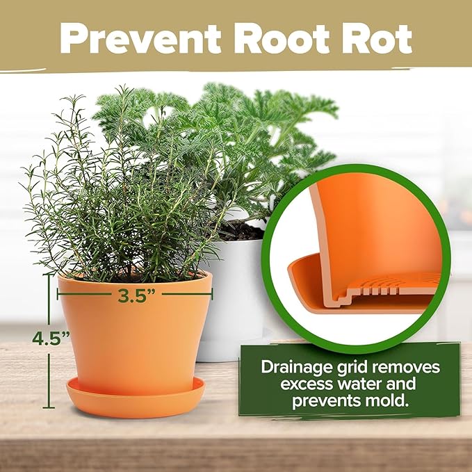 HOME GROWN π£π₯ππ ππ¨π  πππ₯π πππ§ 8 Herb Seeds Garden Kit, Complete Indoor Planter Gift with Basil Cilantro Mint & More, Unique Kitchen Growing Set for Women Men, Birthday Housewarming Present