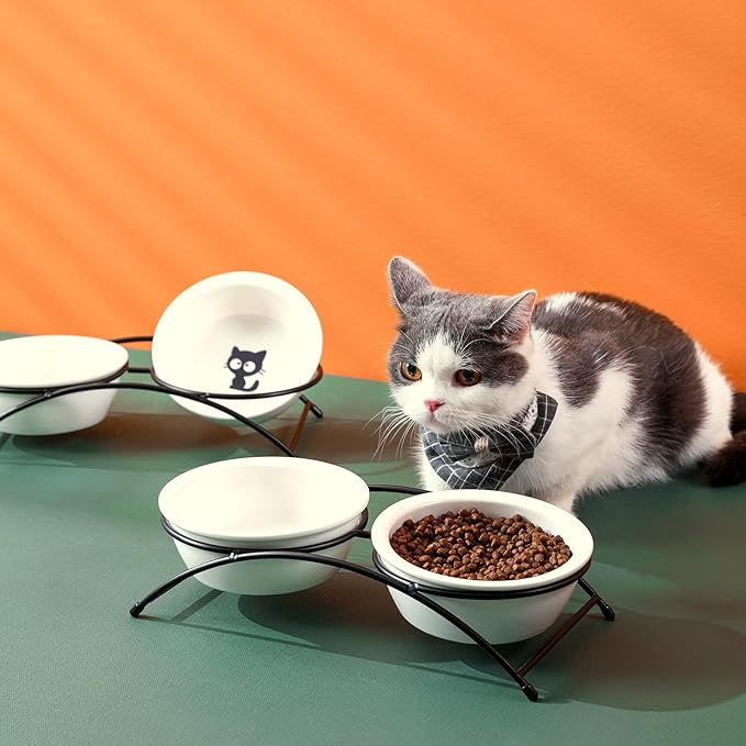 ZONEYILA Elevated Cat Bowls, Dog Bowl, Ceramic Raised Cat Food Water Bowl Set with Metal Stand for Indoor Cats Small Dog, Prevent Neck Pain,12 Ounces, Cute Paw Pattern