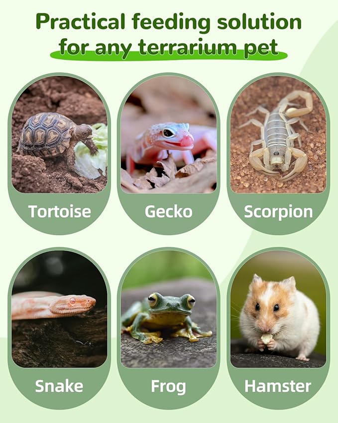 Pawfly 2 Pcs Leaf Reptile Water Dish, Reptile Water Bowl, Tortoise Habitat Accessories, Bearded Dragon Water Bowl, Pet Food Feeding Plate for Turtle Small Snake Lizard, 2 Sizes