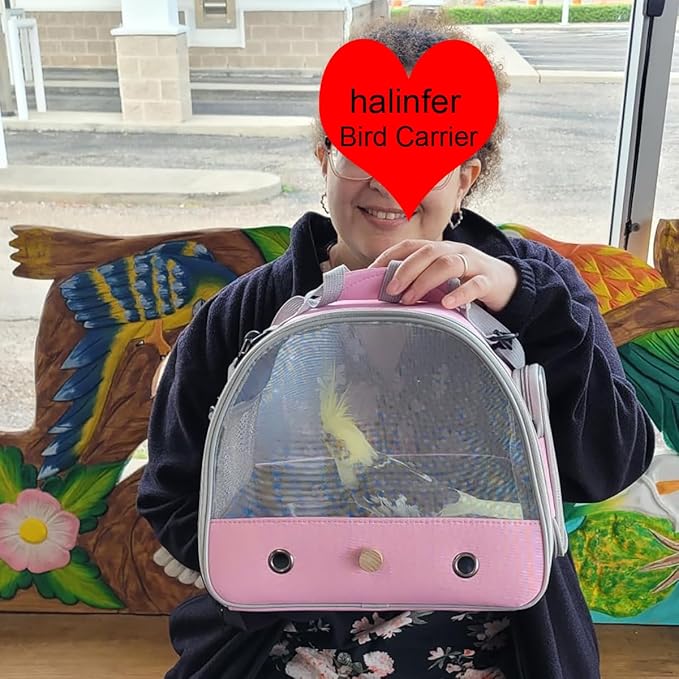 Bird Carrier, Portable Small Bird Parrot Parakeet Carrier with Standing Perch and Soft Support Mat, Side Access Window Collapsible (Grey, Mesh Windows)
