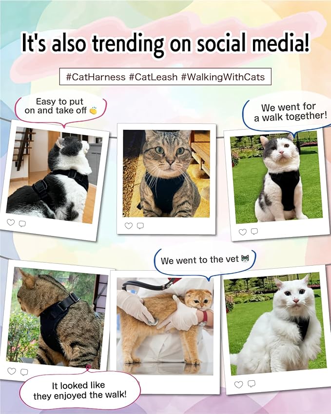 Cat Harness Escape Proof with Leash for Walking, Travel Vest Soft Chest Support, Adjustable Size, Escape Proof Soft Adjustable Vest Harnesses, Breathable, Kittens, Small Dogs (美/背縄/黒1/S)