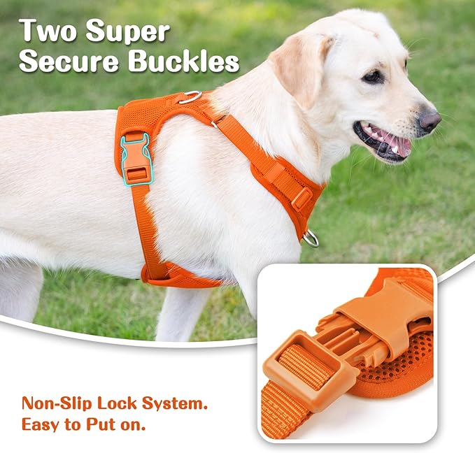 No Pull Dog Harness for Small Medium Large Dogs - Adjustable Two-Layer Mesh Dog Vest with Dual Clip, Escape Proof, Quick Release, Lightweight Breathable Mesh for Walking Hiking (Orange,L)