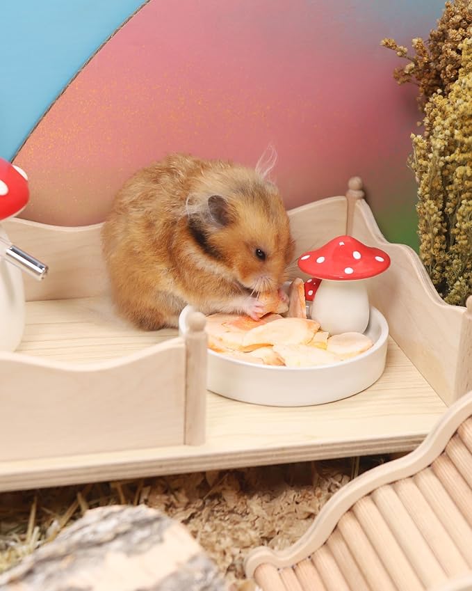 Niteangel Hamster Snack & Treats Toy - Small Animal Natural Treat for Dwarf Syrian Robo Hamsters Gerbils Mice Lemmings Degus or Other Small-Sized Pets