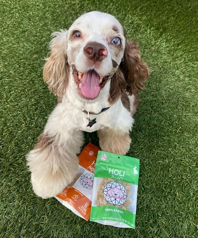 HOLI Lamb Liver Dog Food Topper - Single Ingredient, Human-Grade - Freeze Dried Dog Food Toppers and Flavor Enhancer for Picky Dogs – Grain Free – 100% All Natural - 2oz