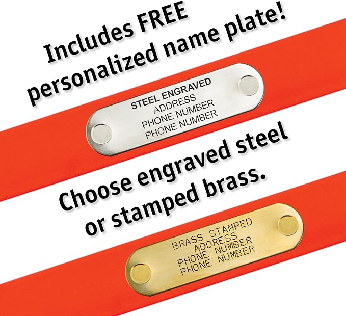 Biothane Custom Dog Collar – Waterproof, Stink-Proof Personalized Collar with Name & Phone Number – Durable, Many Sizes and Colors – Assembled in USA (Lilac Purple)