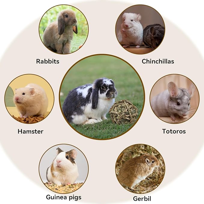 Rabbit Timothy Grass Ball 6 Pcs,Natural Bunny Grass Ball Timothy Hand Woven Chew Toys Small Animals Teeth Grinding Suitable for Hamster Guinea Pig Squirrel Totoro Gerbils