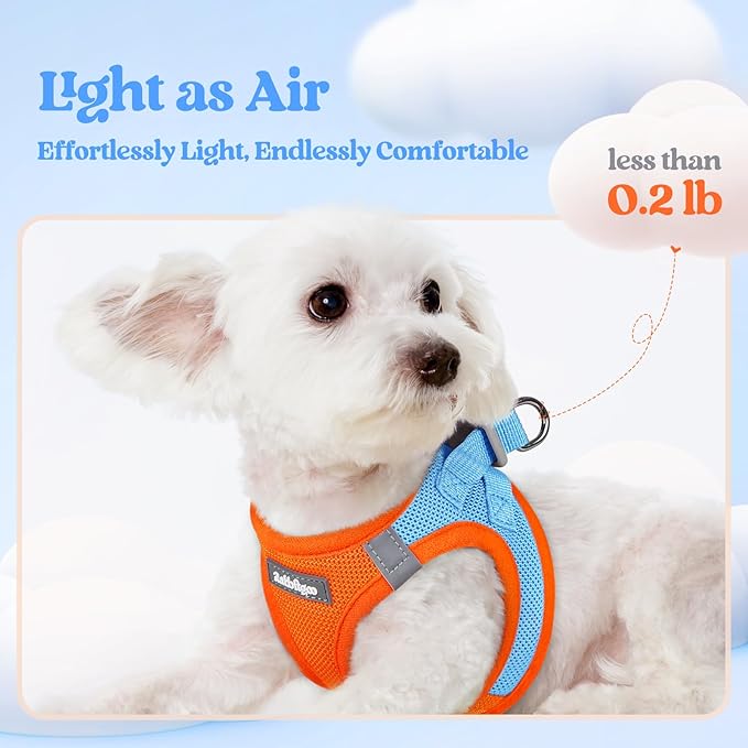 rabbitgoo Dog Harness Medium Sized and Leash Set, Step in Soft Light Puppy Vest, Breathable Mesh Pet Harness, Reflective for Safe Easy Walking, Blue & Orange XXL