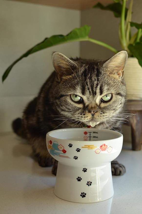 Necoichi Elevated Cat Water Bowl – Ceramic Raised Cat Bowl, Prevents Neck & Whisker Fatigue – Dishwasher & Microwave Safe – Pet Water Bowl for Cats (Fuji, Extra Tall)
