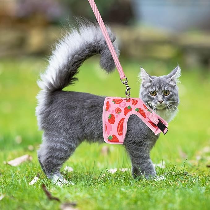 PUPTECK Soft Mesh Cat Vest Harness and Leash Set Puppy Padded Pet Harnesses Escape Proof for Cats Small Dogs Rabbits Bunny