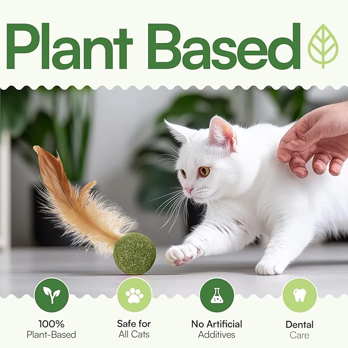 3 Pcs Catnip Balls with Feathers โ Natural Catnip Toy for Play, Stress Relief & Healthy Enrichment Interactive Cat Toys Perfect for Indoor Cats & Kittens, Encourages Active Play & Wellness