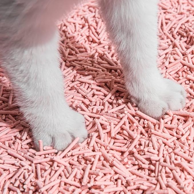 Tofu Cat Litter Natural Clumping Tofu Cat Litter, Fast Clumping and Easily Scoop-able 5.5lb/88oz 5 Scents - Peach, 2 Pack