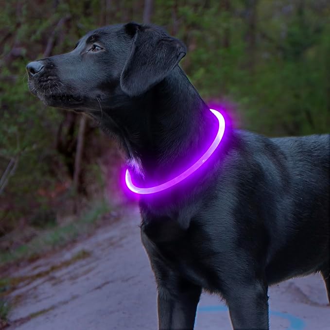 Light up Dog Collar, BSEEN USB Rechargeable Flash Dog Necklace Light, Pet Safety Collar Makes Your Beloved Dogs Be Seen at Night for Small Medium Large Dogs(Purple)