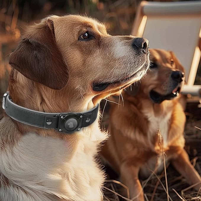 AirTag Dog Collar - Leather Dog Collar with Air Tag Holder | IPX8 Waterproof, Reflective, High - End, Adjustable Soft Padded | Dog GPS Tracker Collars Fit for Medium Large Dogs (Black, XL)