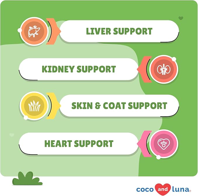 Milk Thistle for Dogs - 120 Chewable Tablets - Silymarin - Liver and Kidney Support with EPA & DHA - Detox - Liver Supplement for Dogs with Choline and L-Arginine