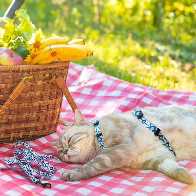 PAWCHIE Cat Harness and Leash Set, Cats Escape Proof-Adjustable Kitten Harness Lightweight Soft Outdoor Walking Travel Pet Safe Harness, Puppy Harness for Girl Cats Bunny Rabbit Small Dog, Blue M