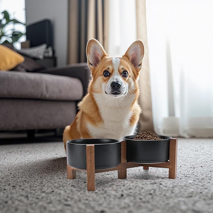 SPUNKYJUNKY Ceramic Dog Bowls with Acacia Wood Stand - Raised Dog Food and Water Bowl Set for Medium Dogs (28.74 OZ, Black)