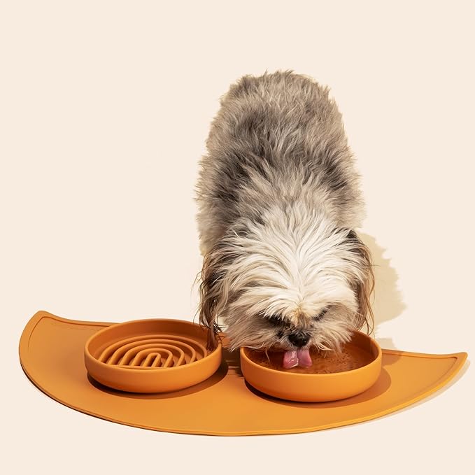 The Slowdown Bowl Silicone Slow Feeder for Cats & Dogs, Slow Eating Mealtime Solution with Modern Lick Mat Design, Reduces Gulping, Fits 1 Cup 6” Across x 1.25” Tall, Small-Charcoal