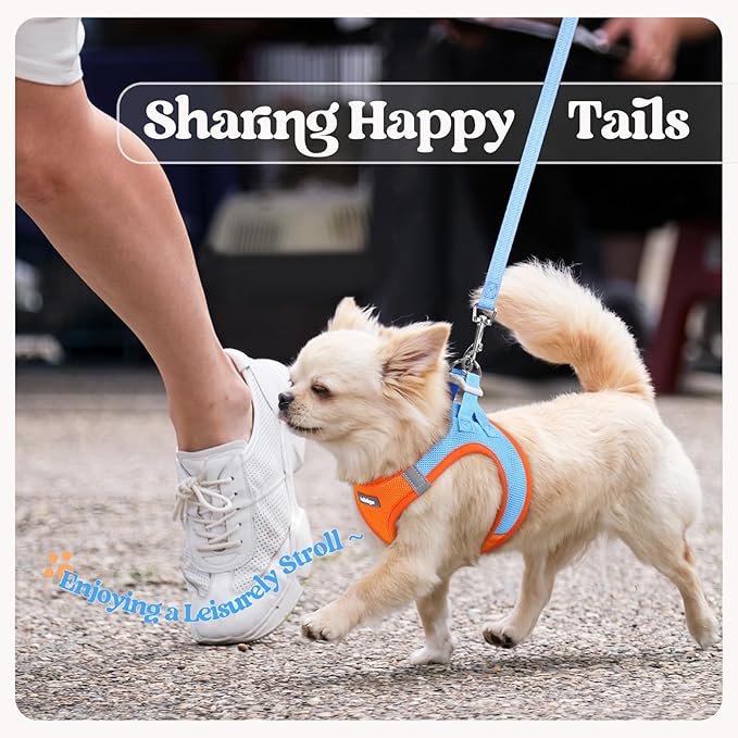 rabbitgoo Dog Harness Small Medium Sized and Leash Set, Step in Soft Light Puppy Vest, Breathable Mesh Pet Harness, Reflective for Safe Easy Walking, Blue & Orange XL