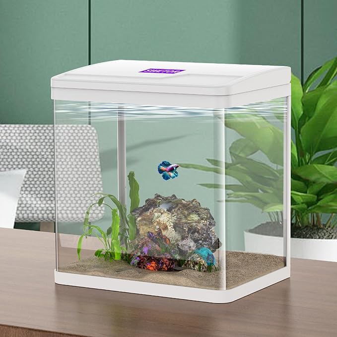 2 Gallon Glass Betta Fish Tank,Small Fish Tank with Filter and Light,Self-Cleaning Fish Tank.