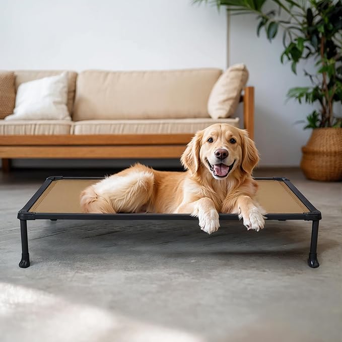Veehoo Chew Proof Dog Cot, Non Chewable Large Bed, Anti-Scratch Durable Hammock Raised Place for Training Platform, Outdoor Cooling Off Ground, CWC2420ACP