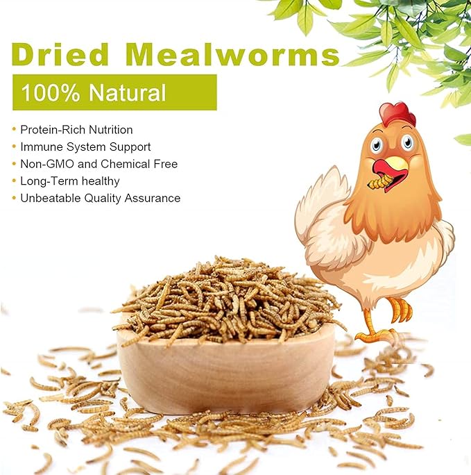 Mealworms, High-Protein Dried Mealworms for Birds, Chickens, Turtles, Fish, Hamsters and Hedgehogs, Non-GMO and Chemical Free, All Natural Animal Feed (10oz)