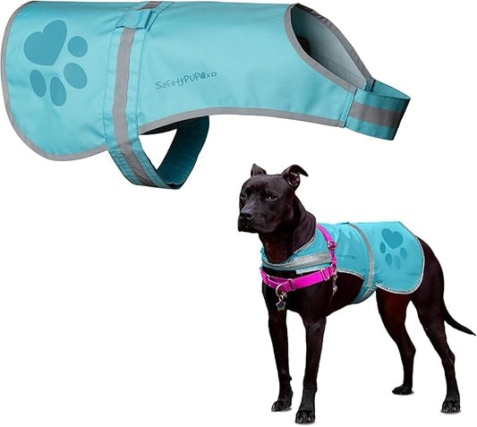 Dog Reflective Vest β Hi-Vis Fluorescent Visibility That Helps to Safeguard Your Pet On/Off Leash in Urban & Rural Areas (Teal, Large)