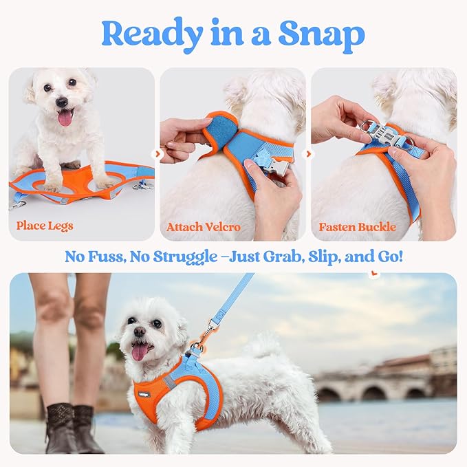 rabbitgoo Dog Harness Medium Sized and Leash Set, Step in Soft Light Puppy Vest, Breathable Mesh Pet Harness, Reflective for Safe Easy Walking, Blue & Orange XXL