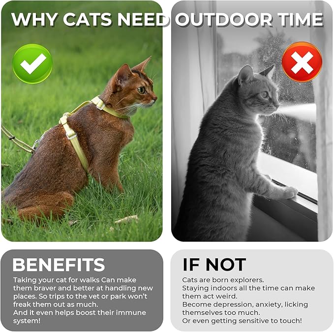 Cat Harness and Leash Set - Grey Lightweight Soft Kitten Harness Escape Proof, Adjustable Travel Pet Harness for Walking,Easy Control Comfortable Outdoor (Grey, One Size Fits All)