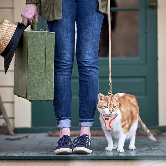 Cat Harness and Leash Set, Soft and Breathable Vest with Reflective Strip, Escape Proof Kitten Harness, Easy to Wear for Cats Walking and Traveling (Green, S)