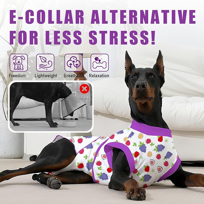 Recovery Suit for Dogs After Surgery, Professional Dog Surgical Suit for Female Spay, Male Neuter, E-Collar & Cone Alternative Dog Onesie for Abdominal Wounds Skin Disease, Purple, XL
