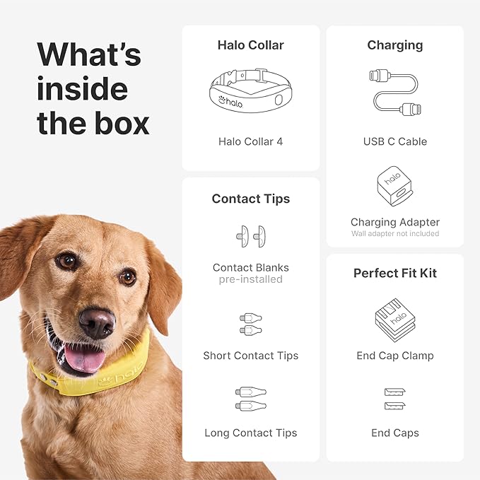Halo Collar 4, All New GPS Wireless Dog Fence & Dog Training Collar with GPS Tracker, Subscription Required, Waterproof, One Size, Sunburst