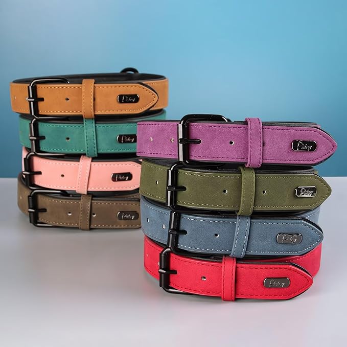 Didog Soft Padded PU Leather Dog Collar, Breathable and Adjustable Dog Collars for Small Dogs, Comfortable for Daily Walk, Dark Green, M Fit Neck 12-15"(13-22 lbs)