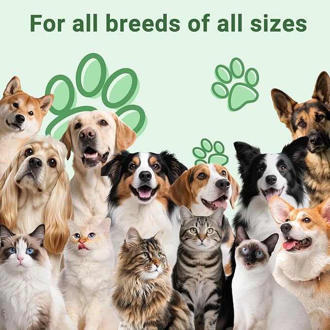 Kennel Cough Treatment Drop for Dogs &Cats,Help Wet and Dry Cough Relief,Seasonal Throat Discomfort, Natural Herbal Cough Liquid with Licorice,Ginger for All Breeds & Sizes,2 fl oz Bacon Flavor