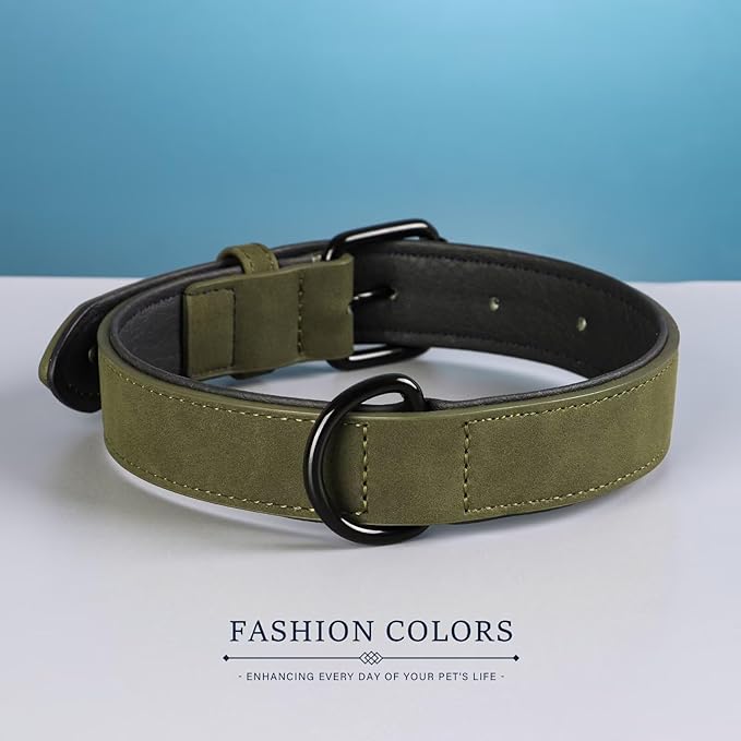 Didog Soft Padded PU Leather Dog Collar, Breathable and Adjustable Dog Collars for Small Dogs, Comfortable for Daily Walk, Dark Green, M Fit Neck 12-15"(13-22 lbs)