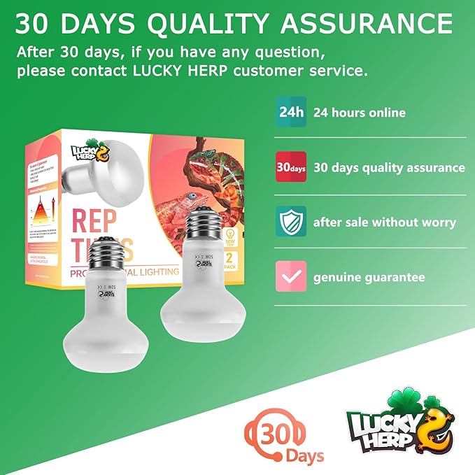 LUCKY HERP Intense Heat Lamp Bulbs for Reptiles 50W 2 Pack, UVA Daylight Reptile Heat Lamp, Reptile Basking Heat Light Bulb for Amphibian, Tortoise, Bearded Dragon, Lizard, Turtle, Snake Heating Use