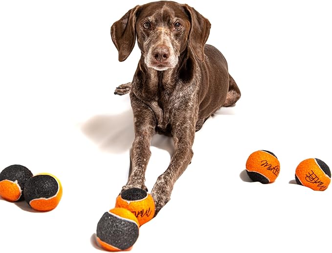 Midlee Orange/Black Dog Halloween Tennis Balls- Set of 6