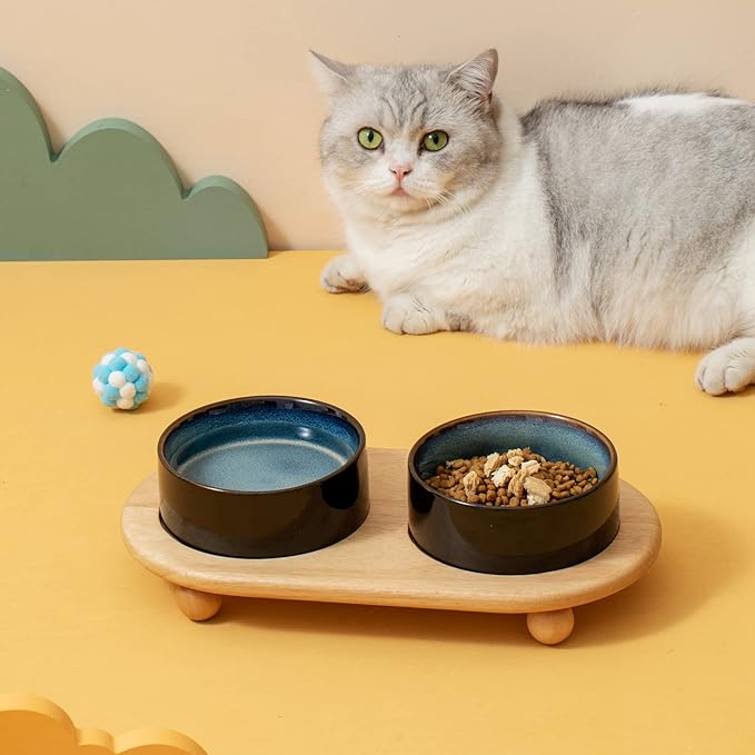 Ceramic Elevated Dog Bowls, Food and Water Bowls for Dogs, Puppy, Raised Dog Dish, Pet Feeder(6inch, 2 x Starry Sky + Stand)